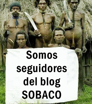 blog sobaco