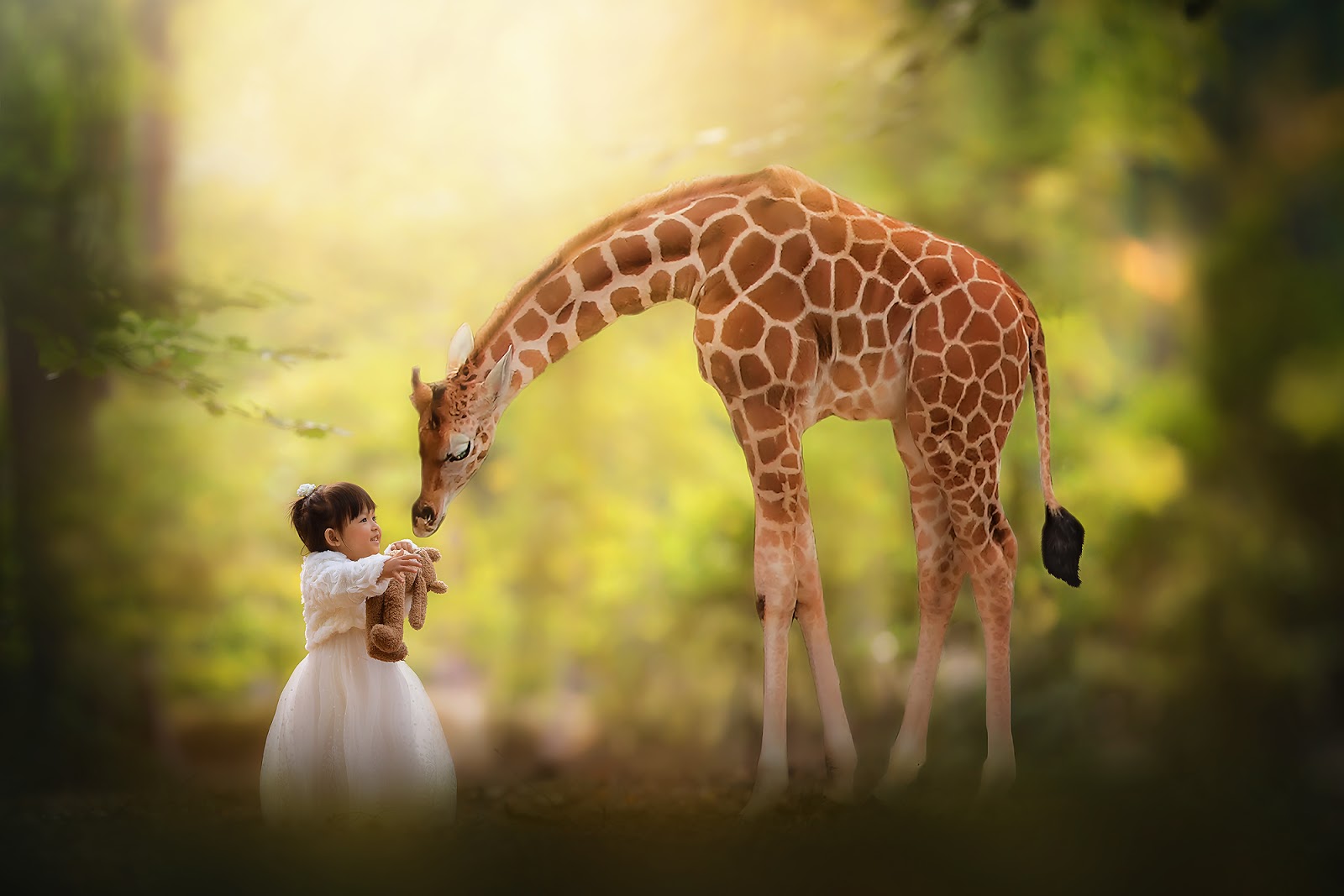 Canon 5d mark III fine art portrait of a little girl kissing a giraf by Willie Kers 