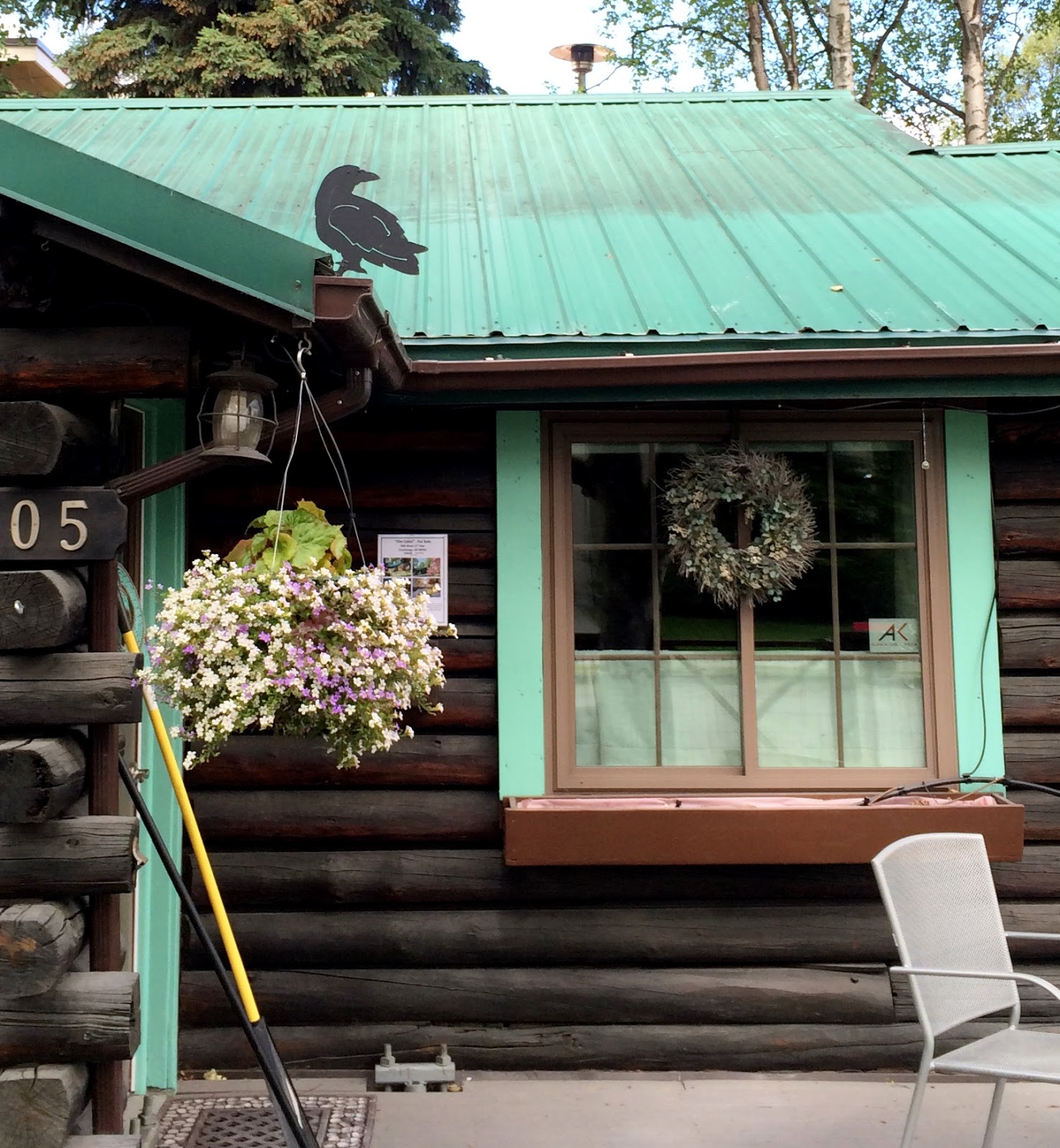 Swallowed Fly Crusades Hanging Baskets in Anchorage