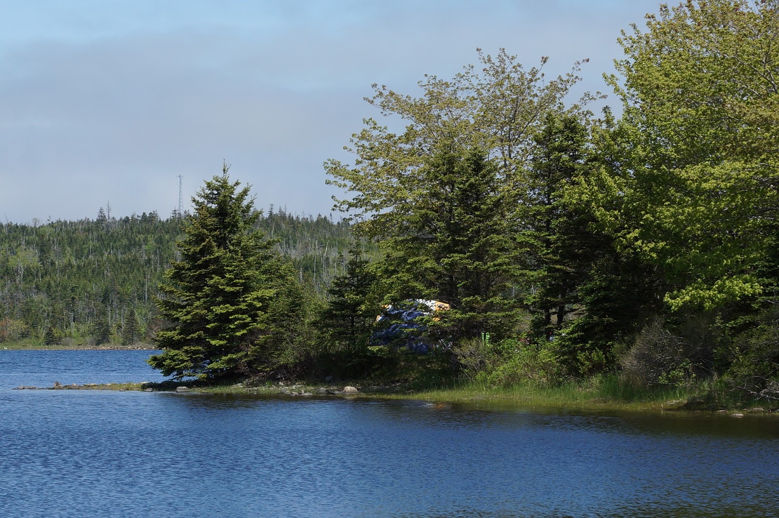 Veils of Kali's Myst Porters Lake Provincial Park