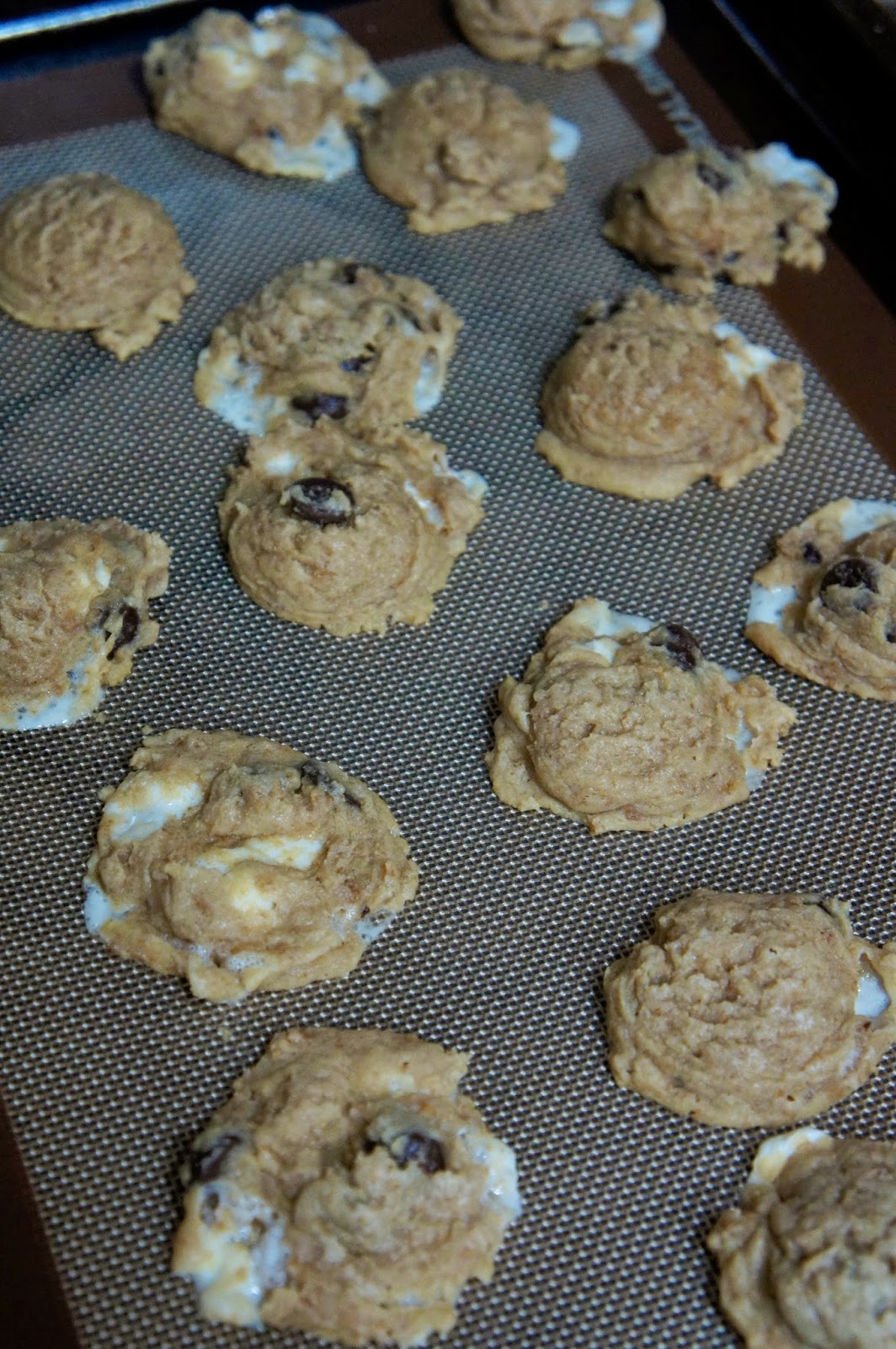 Savory Sweet and Satisfying S'Mores Cookies