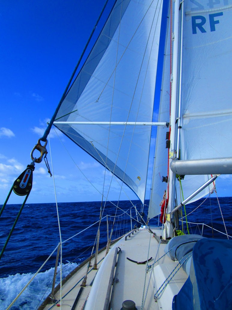 Sadiqi November 2015