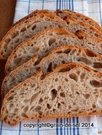 http://salzkorn.blogspot.fr/2012/06/ein-hauchiges-brot-bordelaise.html