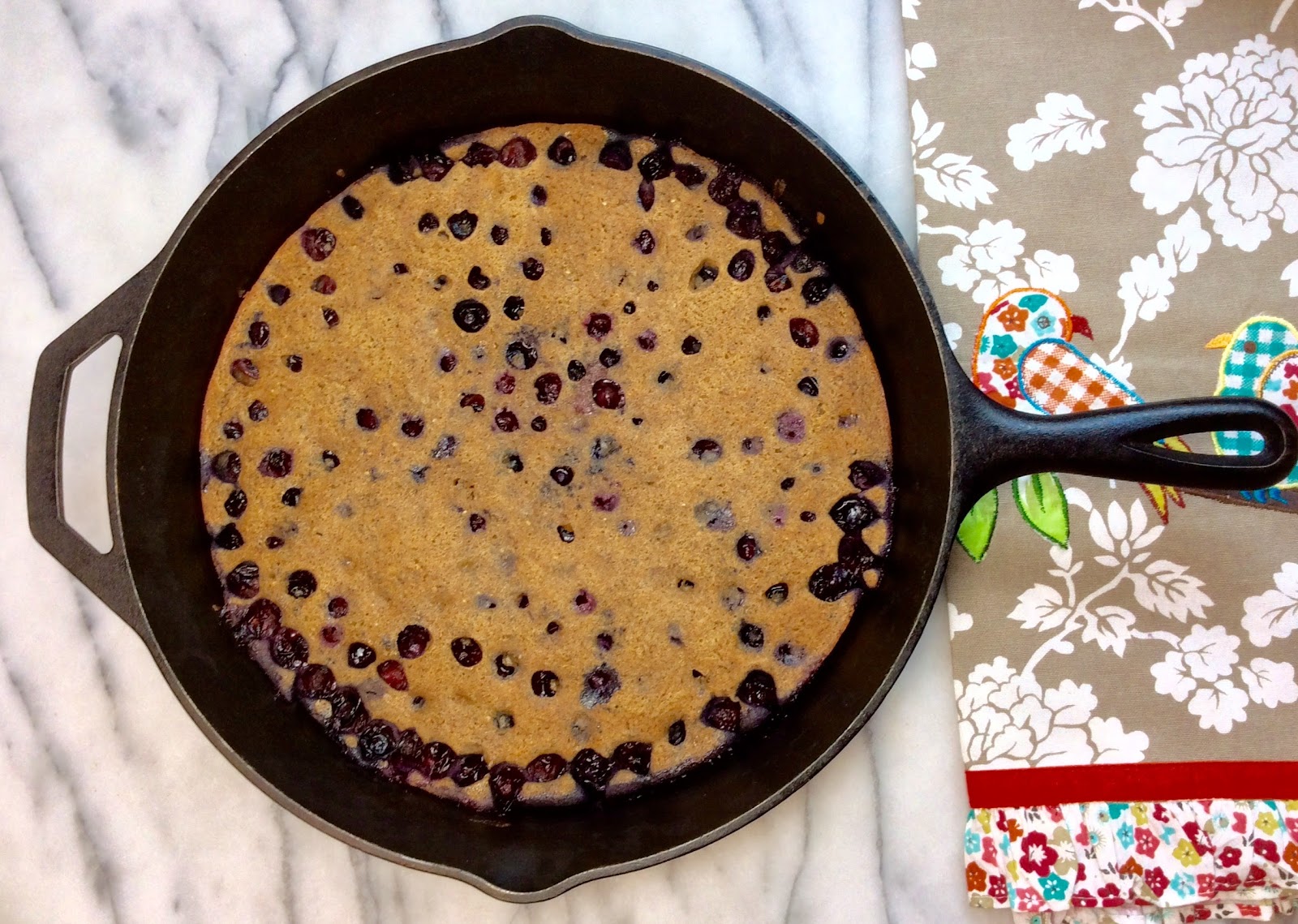 Food Fitness by Paige Cast Iron Blueberries