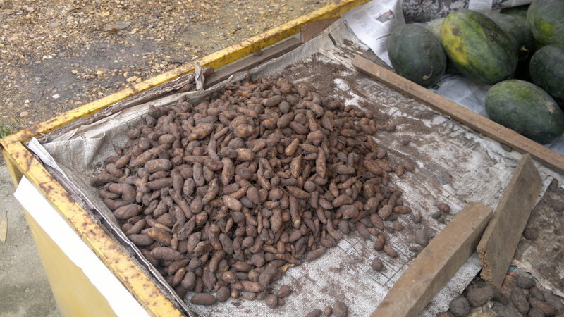 Catatan Perjalanan Hidup Networker: Jutawan Senyap- Ubi Keling.