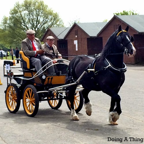 Doing A Thing London Harness Horse Parade