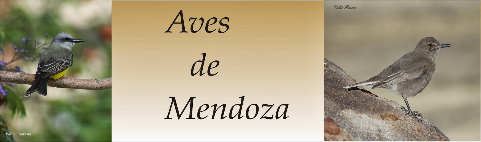 Aves de Mendoza