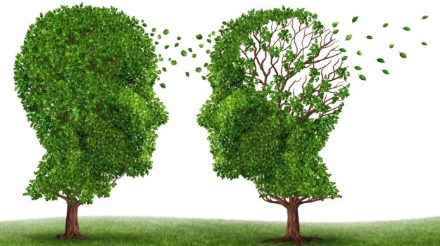 5 أخطار تسببها الأطعمة السريعة لدماغك طعام,أطعمة مكشوفة,أطعمة مصنعة,طعام سريع