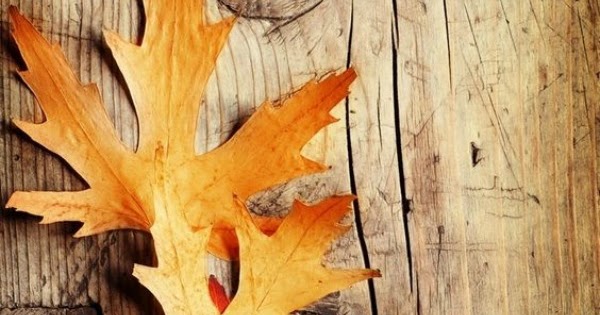 De lunes a domingo: 7 guirnaldas para el otoño que podrás hacer tú mismo