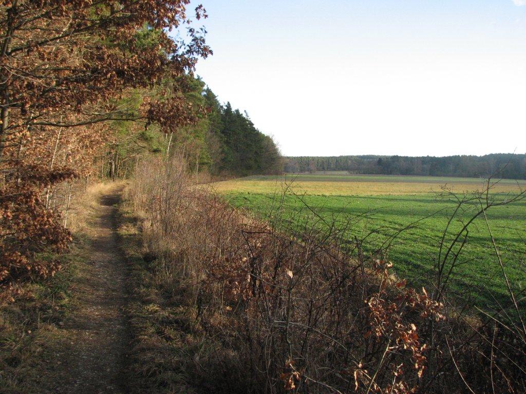 Intelligent Investieren Investor Update Mein Dividendendepot