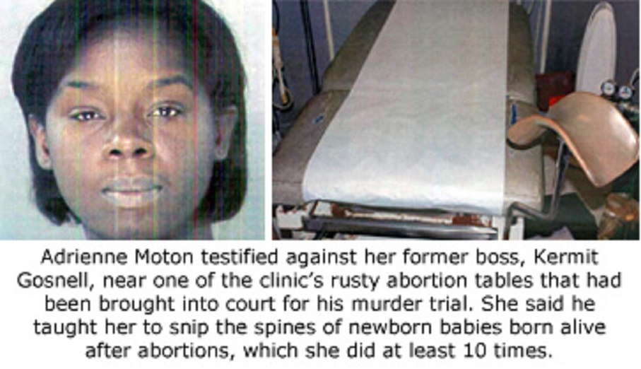 Politics For Blondes