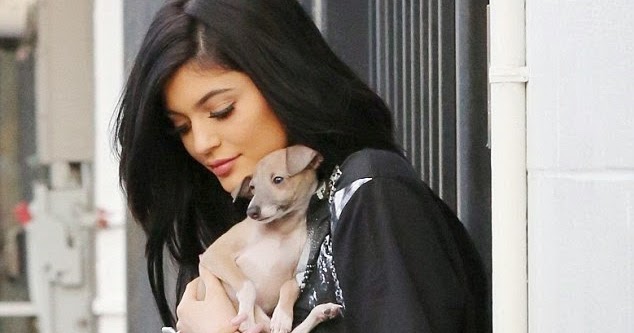 Kemi Online ♥: Kylie Jenner's new pooch Bambi