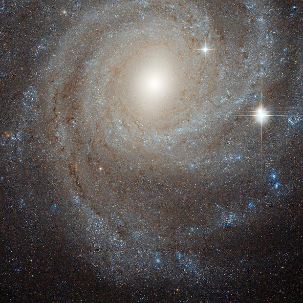 Intermediate Spiral Galaxy NGC 3344