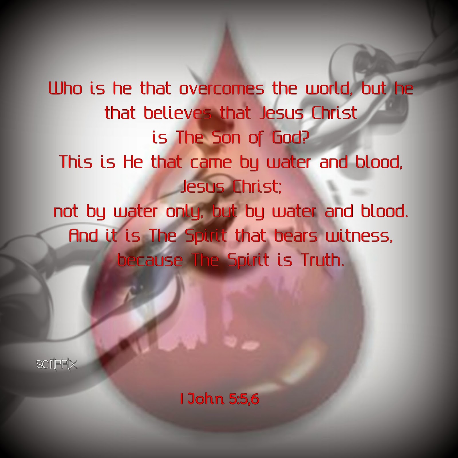 scrippix Blood And Water