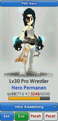 Pro Wrestler Hero Evolution LostSaga Indonesia