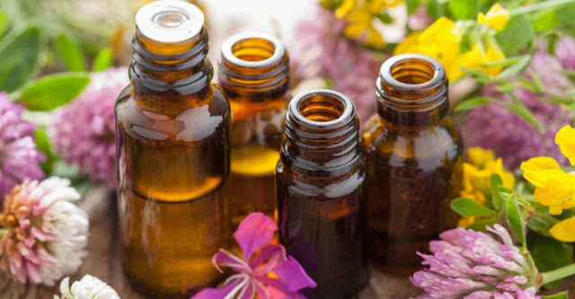 Essential-Oils-Groups-800x416.jpg