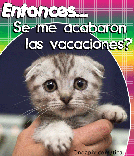 el humor en el lugar de trabajo , imagenes divertidas de humor ...