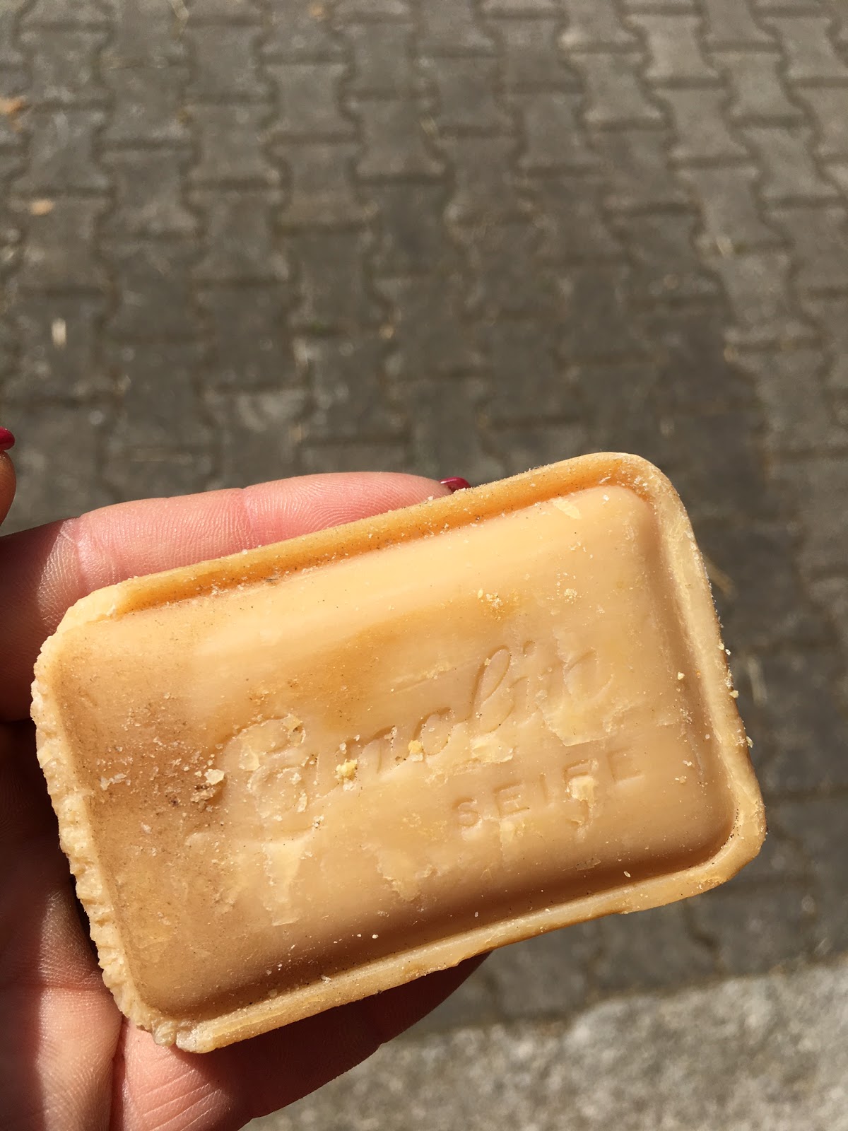 Pferde und Hunde Wissen