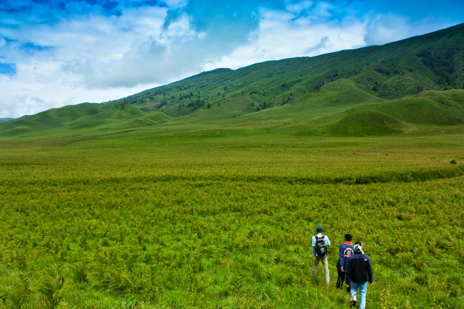 Bukit Teletubbies Bromo, Padang Hijau Eksotis yang Instagramable – Coba Datang Waktu Sunrise, Biar Makin Mempesona!