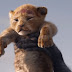 Amy Sedaris will join 'Lion King' as an 'elephant shrew'