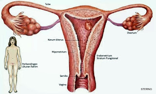 ciri khas kanker rahim adalah bau amis pada vagina