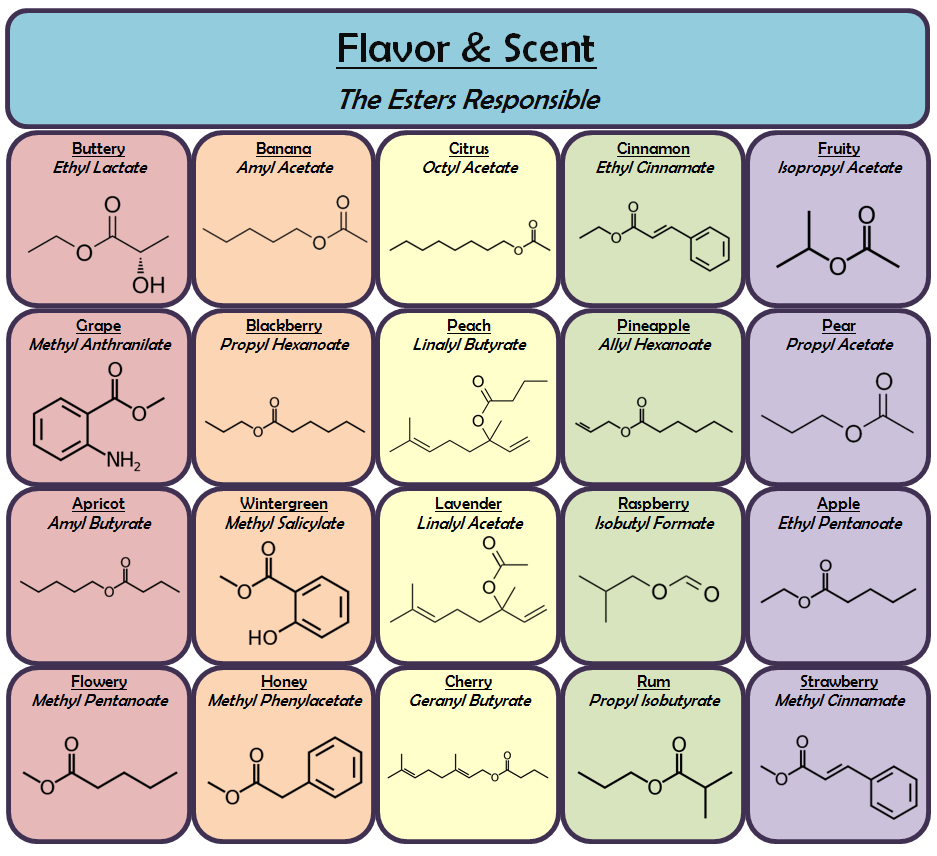 Ester Examples ester-examples