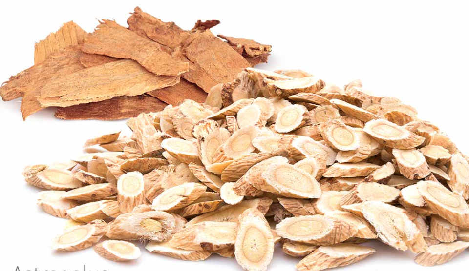 Vitality The Remarkable Benefits of Astragalus Root