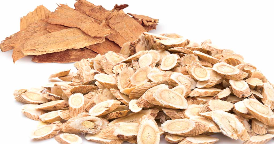 Vitality The Remarkable Benefits of Astragalus Root