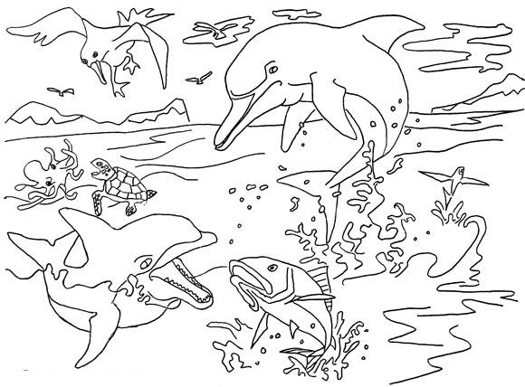 Free Coloring Pages Of Dolphins To the Print