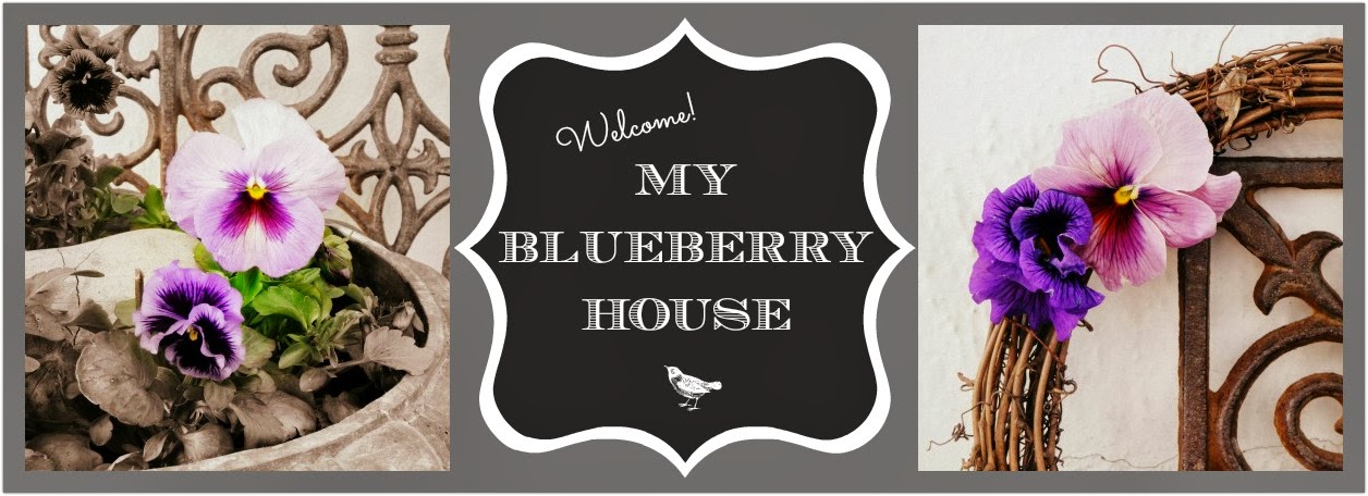 My Blueberry House