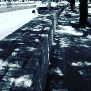 My Problem The Photo Of The Anti Psychiatry Flyer