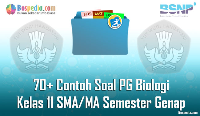 Lengkap 70 Contoh Soal Pg Biologi Kelas 11 Sma Ma Semester Genap Terbaru Bospedia