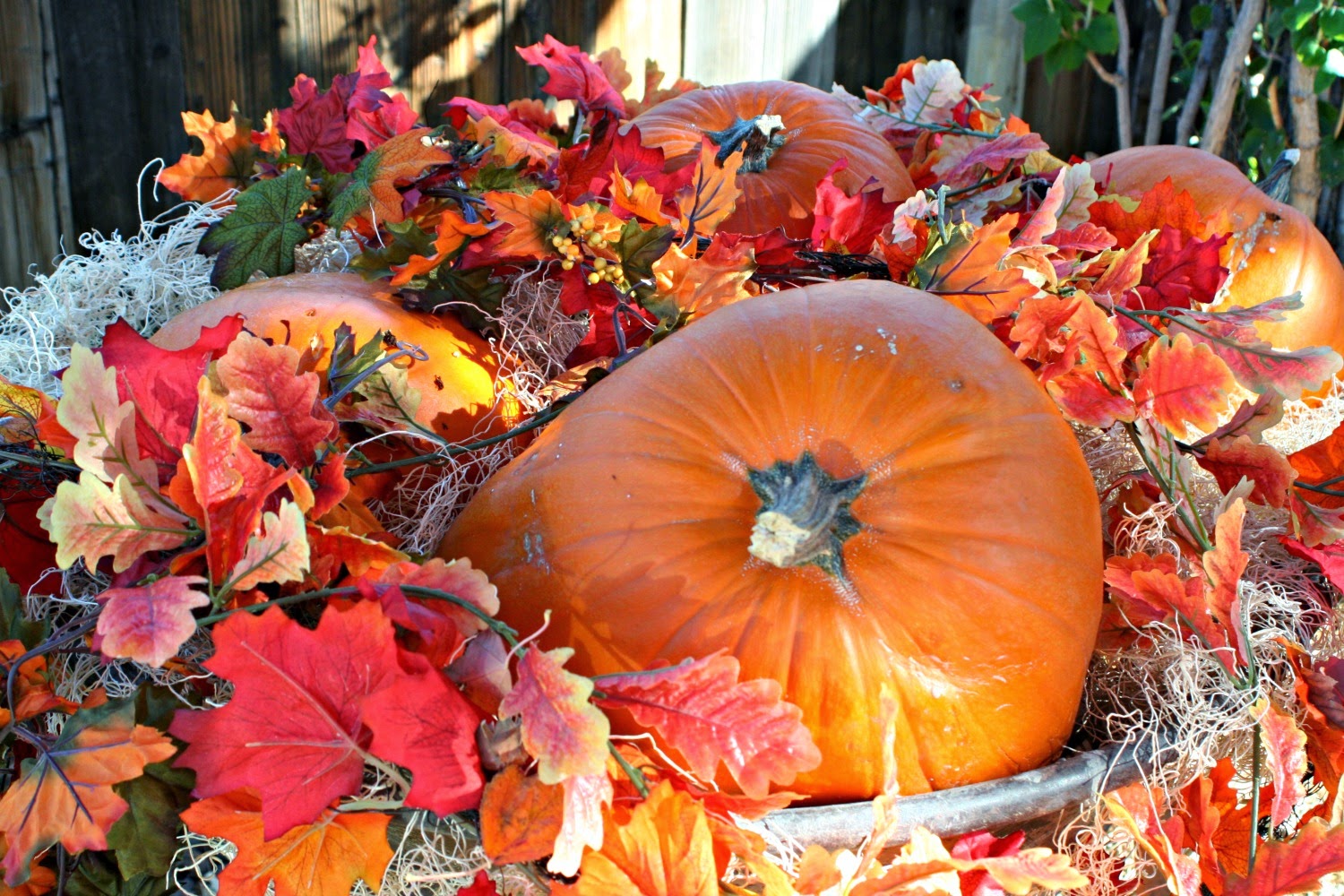 MarvinsDaughters: Fall Outdoor Decor