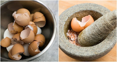 4 Reasons To Eat Eggshells, How To Do It And 12 Other Uses 4 Reasons To Eat Eggshells, How To Do It And 12 Other Uses