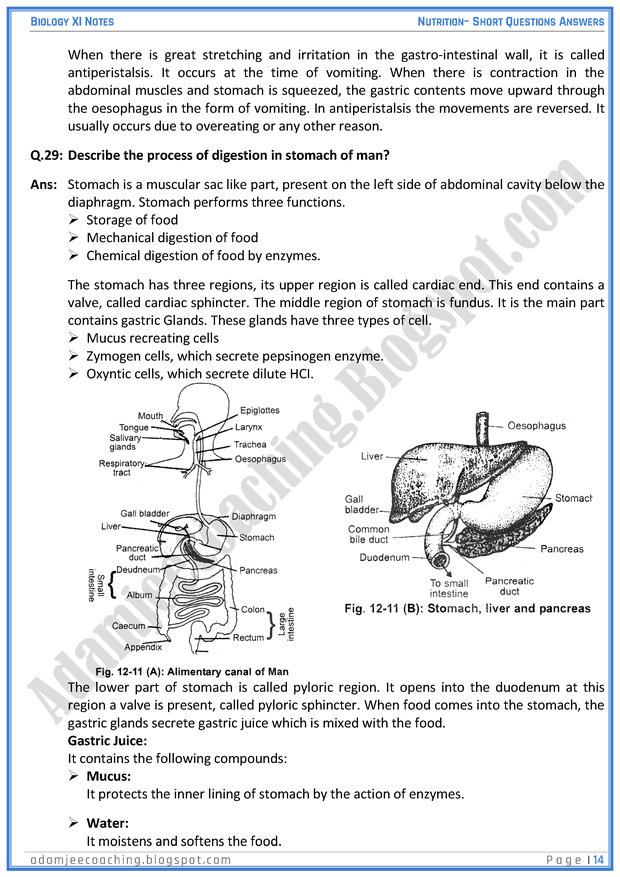 nutrition-short-question-answers-biology-11th