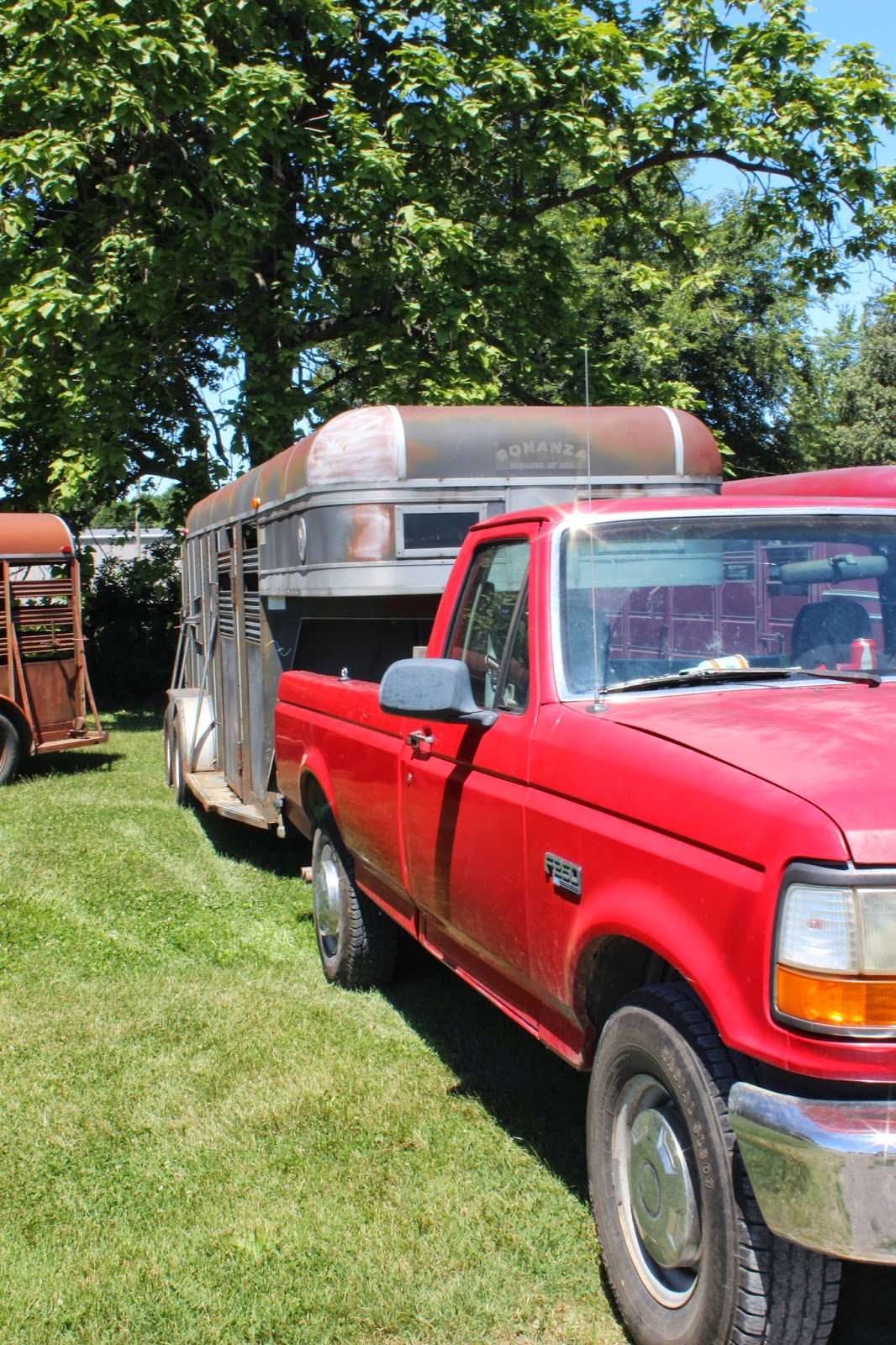 Snug Harbor Bay Livingston Livestock Auction