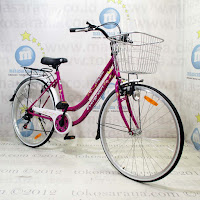 City Bike Evergreen Sakura 7 Speed 26 Inci