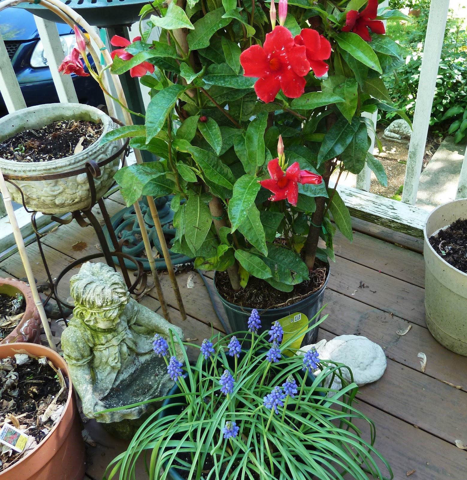 Old Glory Cottage A DREAM COME TRUE IN THE GARDEN!