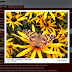 Cách sử dụng Lightbox Plugin của jquery