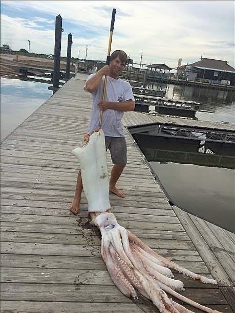 International Fishing News: TEXAS: caught a 200 pound giant squid