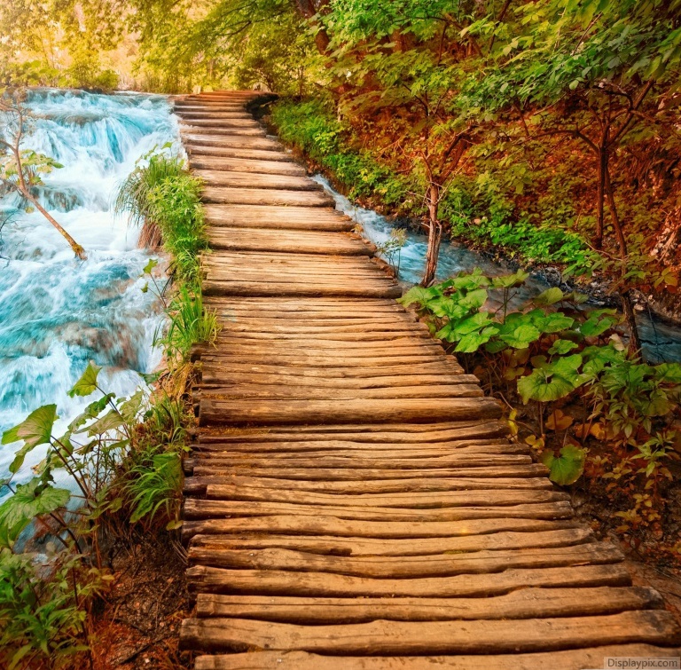 Beautiful Nature Profile Pictures Top Profile Pictures Display Pictures