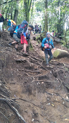 Jalur pendakian gunung cikuray, pos pemancar gunung cikuray, trek gunung cikuray, cara menuju gunung cikuray, terminal guntur menuju pos pemancar, pos pemancar cikuray, pos 1 cikuray, pos 2 cikuray, pos 3 cikuray, pos 4 cikuray, pos 5 cikuray, puncak cikuray, trek awal kebun teh, trek awal cikuray, gunung cikuray mistis, gunung cikuray horor, pengalaman mistis di gunung, pendakian, pendaki indonesia, Gunung di Indonesia, gunung di jawa barat, gunung cikuray, gunung cikuray 2818, ketinggian gunung cikuray, 