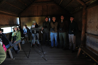 Curso taller Aves del entorno de Doñana 2017. Grupo Local SEO-Sevilla.