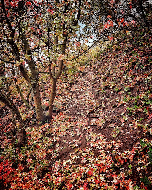 Our Life... My Dad Taught Me Chronologically