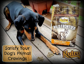 Satisfy Your Dog's Primal Cravings with Nutro Wild Frontier #LapdogCreations ©LapdogCreations