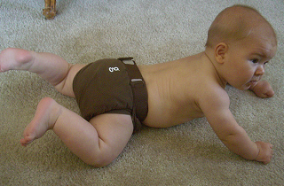 Gustav in gDiaper by majorbonnet, on Flickr Image: Gustav in gDiaper