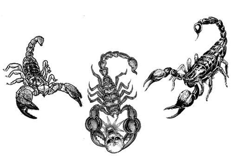 TATTOOS: Scorpion Tattoo Stencils