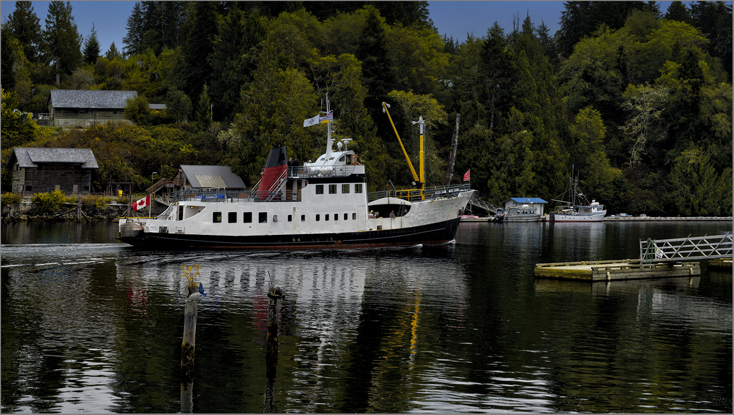 RiverBear Photo Blog Port Alberni Bamfield Port Alberni, BC