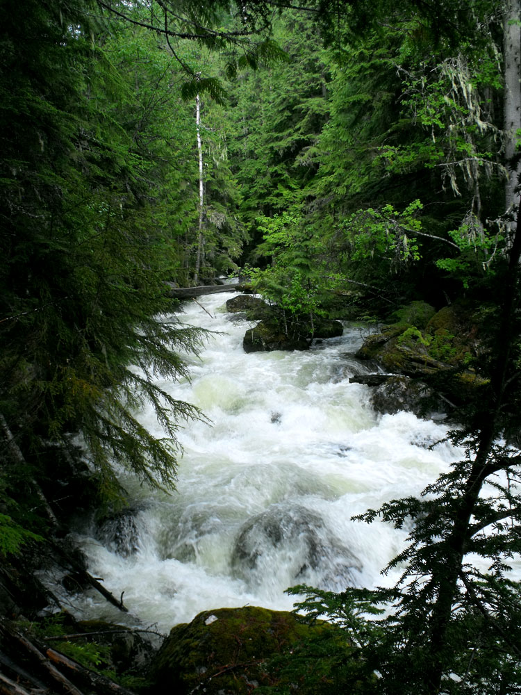 Okanagan Jen Waterfalls of the Okanagan Sicamous Creek Falls