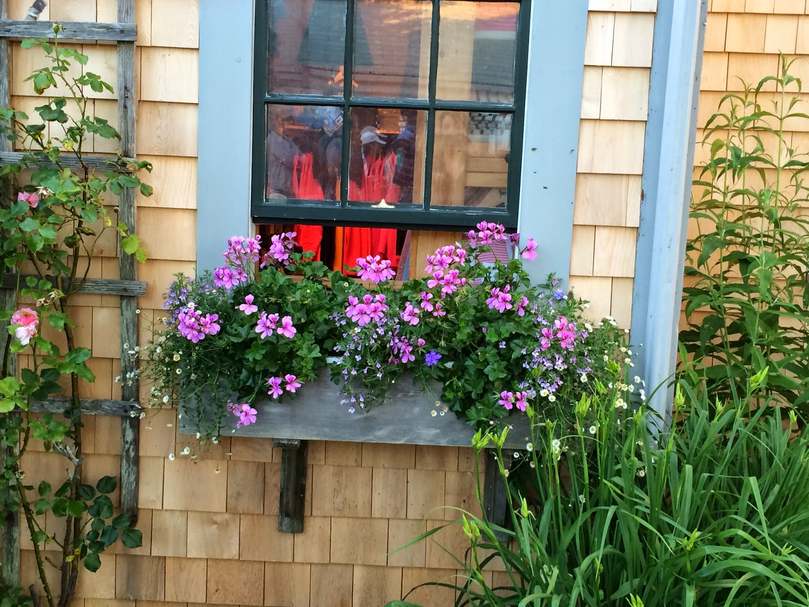 DesignsandEvents Nantucket Window Boxes